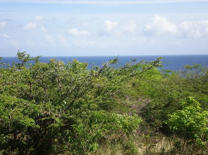 Ocean view from property